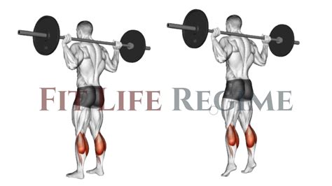 15 Best Barbell Leg Workout For Mass And Strength