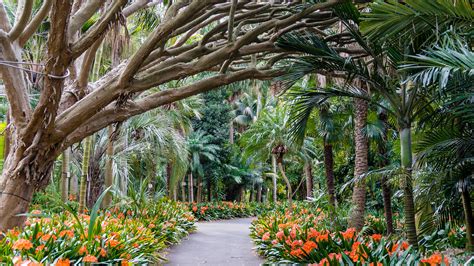 Sydney Royal Botanic Gardens Club Wyndhamclub Wyndham