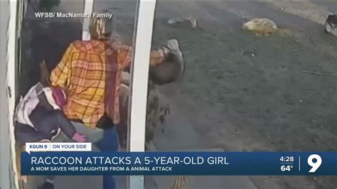 Mother Saves Daughter From Raccoon Attack