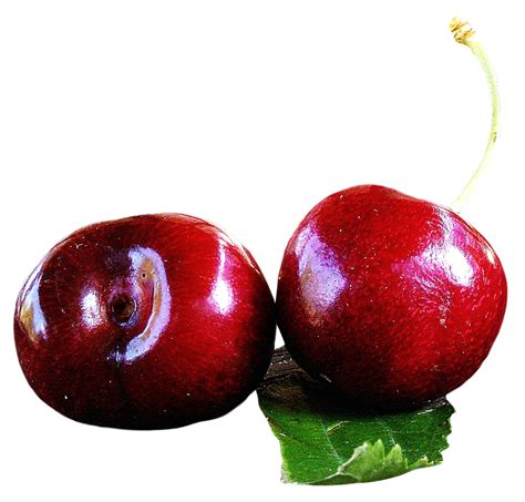 Cherry Png Images Transparent Background Png Play