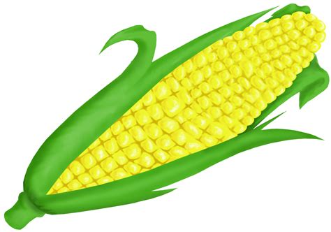 Free Corn Clipart Pictures Clipartix