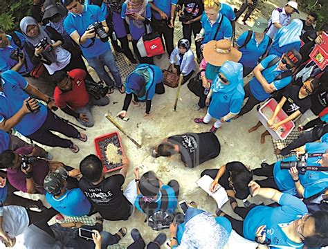 Kami memantau 89 kedudukan universiti dan subjek yang berbeza secara berterusan. Sains marin UMT diiktiraf dunia - Utusan Malaysia - INOS ...