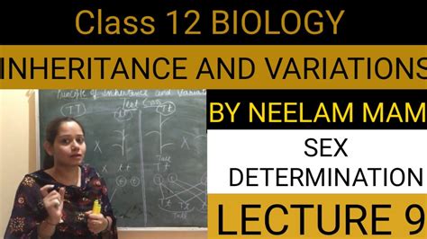 sex determination class 12 biology inheritance and variations lecture 9 youtube