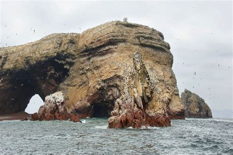 Ballestas Islands In Peru Stock Photo Image Of Fauna 108870022