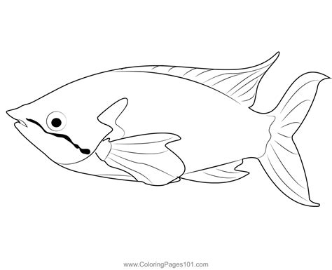 Rainbow Fish Coloring Page For Kids Free Rainbowfishes Printable