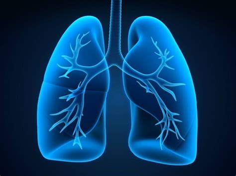 Mayo Clinic Q And A How Lung Restoration Improves Organ Availability