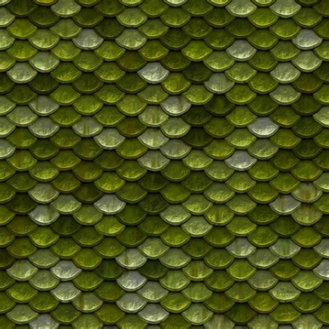 kostenlose foto textur blatt muster linie grün farbe rahmen kreis hintergrundbild