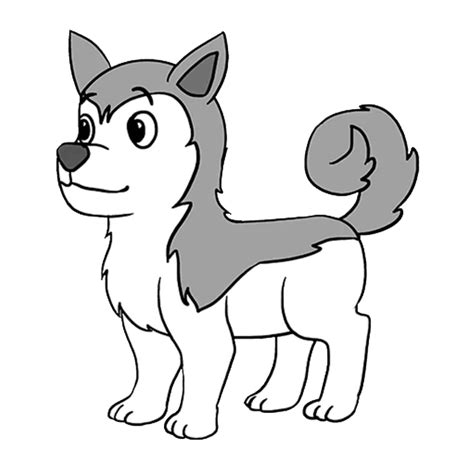 Learn How To Draw A Cute Siberian Husky Dog Easy To Draw Everything