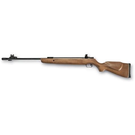 Rws® Rm 2003 177 22 Cal Convertible Pellet Rifle 95810 Air
