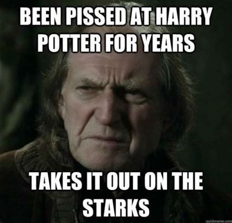 60 Funniest Game Of Thrones Jokes And Memes Got Memes Harry Potter