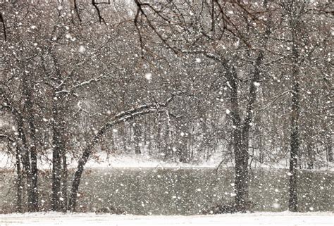 Snowing At Pond In Woods Free Stock Photo Public Domain Pictures