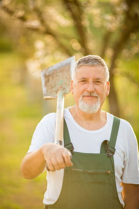 842 Handsome Man Yard Work Stock Photos Free And Royalty Free Stock
