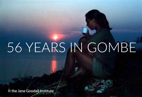 Jane goodall with orphan chimpanzee pasa at the ngamba island sanctuary in uganda. Through the Binoculars: #TBT 56 YEARS IN GOMBE!