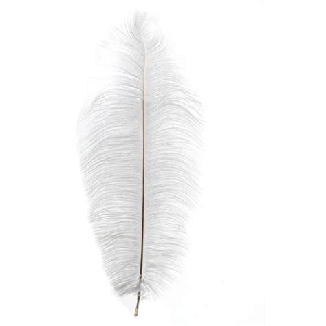 White Ostrich Feather 30cm Ostrich Feathers Feather Hat Decoration