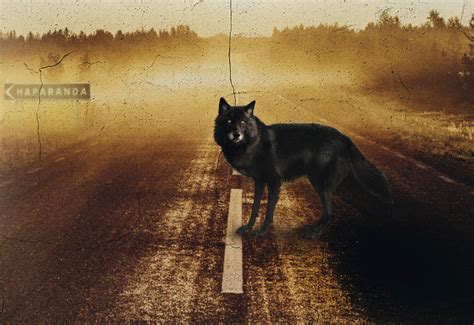Hans rosenfeldt est un scénariste et romancier suédois. 'Wolfzomer' van Hans Rosenfeldt - Standaard ...