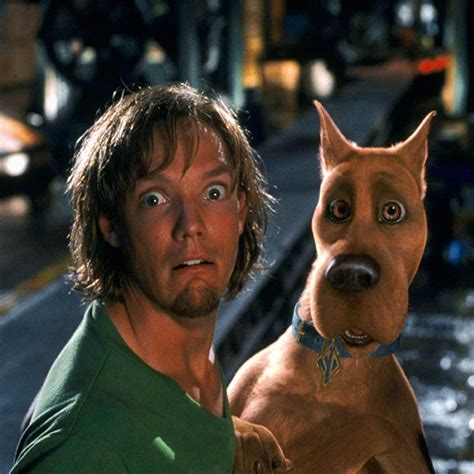 Sintético 98 Foto Scooby Doo Shaggy S Showdown Cena Hermosa