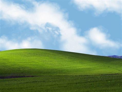 Windows Xp Bliss 4k Hd Computer 4k Wallpapers Images Backgrounds Vrogue