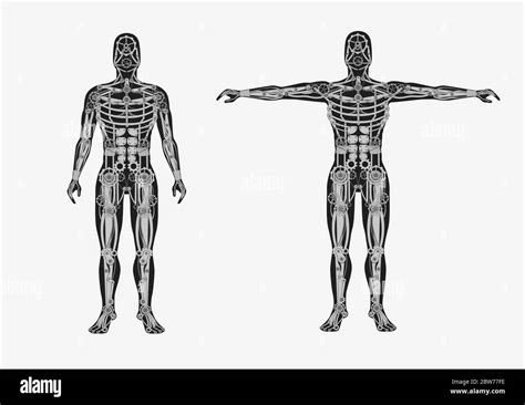 Mechanical Human Body Mechanical Cyborg With Metal Body Parts