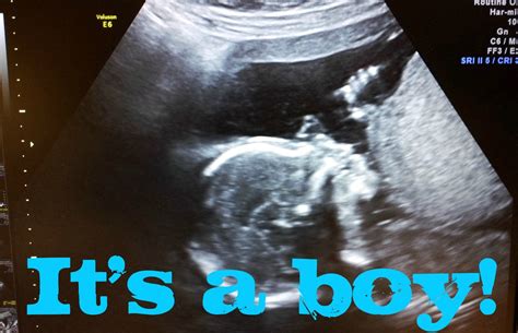 Love Jenny Xoxo Gender Reveal Pregnancy Log 19 Weeks Pregnant