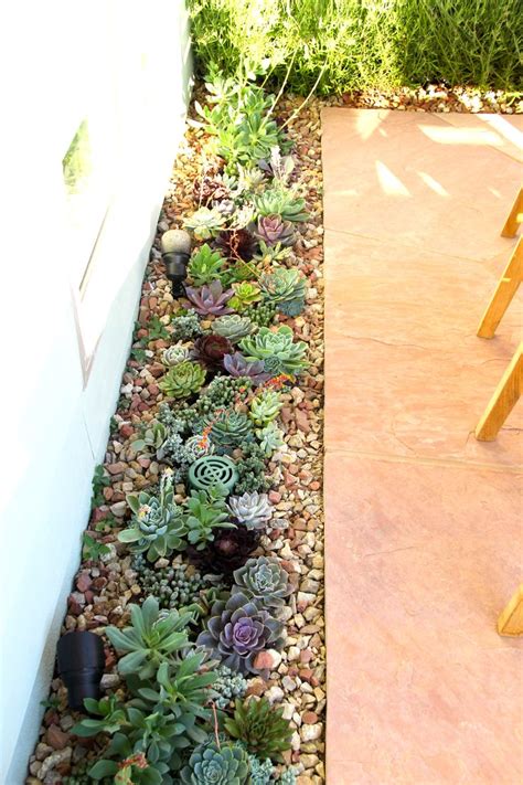 50 Best Succulent Garden Ideas For 2017