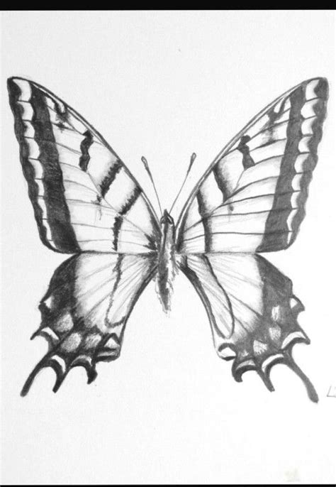 Teacherspayteachers.com has been visited by 10k+ users in the past month Butterfly Coloring pages colouring adult detailed advanced ...