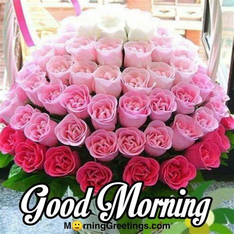 51 Good Morning Wishes With Rose Morning Greetings Morning Quotes