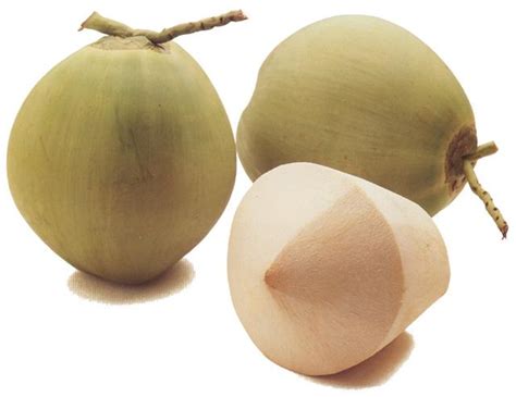 Fresh Young Coconuts From Thailandthailand Clearnergy Price Supplier