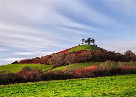 Colmers Hill And Symondsbury Jurassic Coast Photography