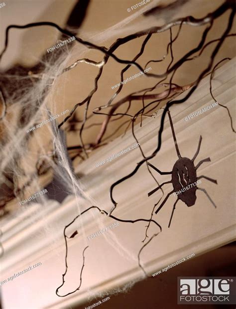 Black Spider Creeping Around The Web Stock Photo Picture And Rights