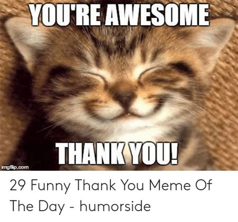 Youre Awesome Thankyou Imgfipcom 29 Funny Thank You Meme