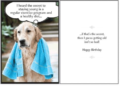 Stories: Happy Birthday Dog Png gambar png