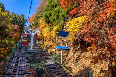 Tokyo's BEST places to See the Autumn Leaves 2019 | OTAKU IN TOKYO