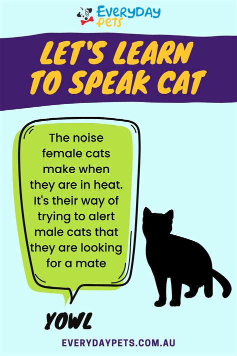 Lets Learn To Speak Cat Cat Language Cats Happy Cat