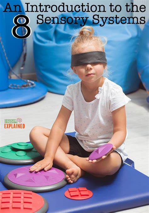an introduction to the 8 sensory systems sensory processing explained