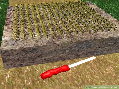 Dethatching is also vital to lawn health. How to Dethatch a Lawn: 9 Steps (with Pictures) - wikiHow