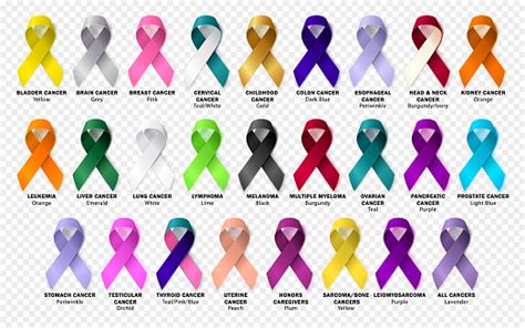 Free Head And Neck Cancer Ribbon Clipart In Ai Svg Eps Or Psd