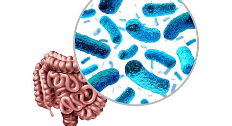 Consejos Para Mejorar La Microbiota Intestinal