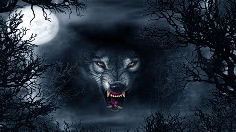 Please contact us if you want to publish a 4k computer wallpaper on our site. Evil Wolves Wallpapers - Top Free Evil Wolves Backgrounds - WallpaperAccess