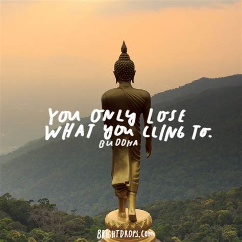 20 Buddha Quotes On Life Images And Photos Quotesbae