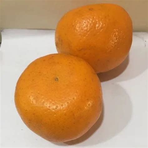 Fresh Oranges At Rs 40kilogram संतरे In Rajkot Id 20649859697