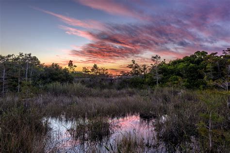 Top 10 Activities To Enjoy During Your Visit To Everglades National