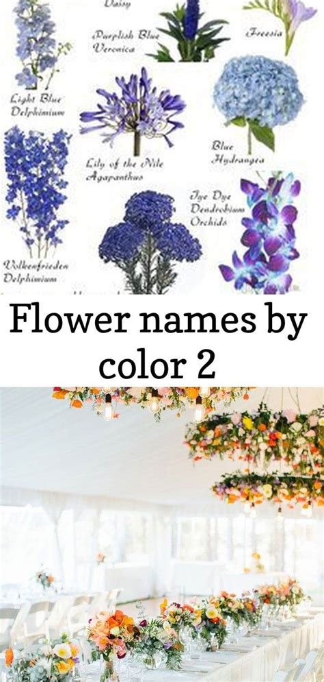 Flowers and their names in nigeria. Flower names by color 2 | White wedding bouquets, Flower ...