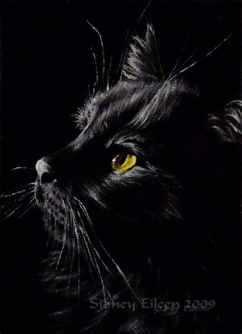 Black Cat Spiral Notebook By Kovacs Anna Brigitta Artofit