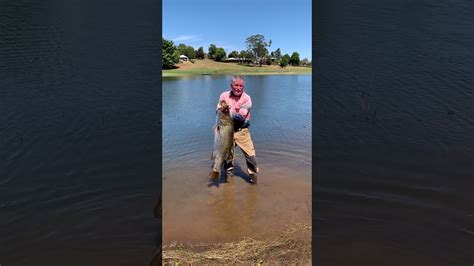 Bare Handed Barra Catching On Lake Tinaroo Youtube