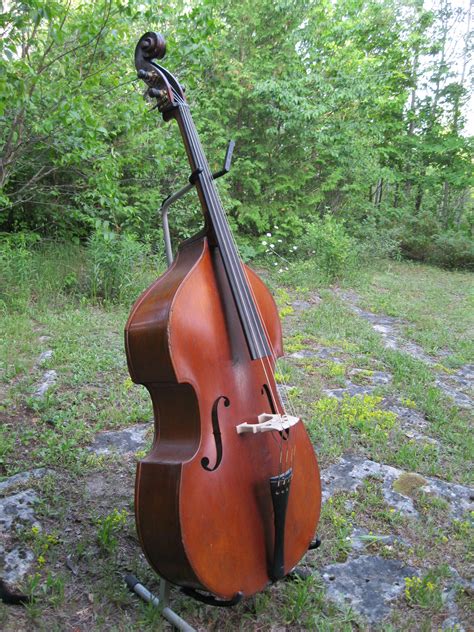 S Czec Roundback Double Bass Double Bass S Bass