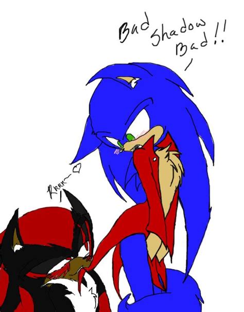 Image Result For Sonic X Shadow Fanfiction Sonic And Shadow D Gray