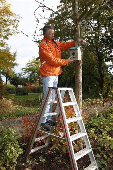Ein nicht allzu streng gepflegter garten und heimische. Nistkästen für Vögel richtig aufhängen | Vögel im garten ...