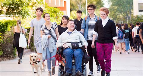 Bringing Unsws Disability Inclusion Action Plan To Life Inside Unsw