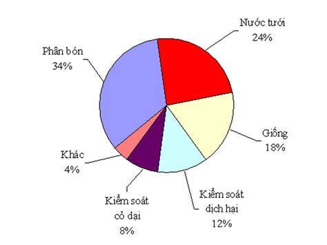 Dùng giống cây trồng mới có ảnh hưởng như thế nào đến năng suất cây trồng