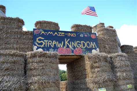 Camelback lodge & indoor waterpark, tannersville. Bee Haven Acres: Family Fun